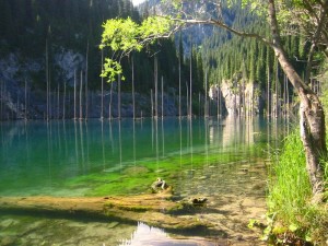 nature6